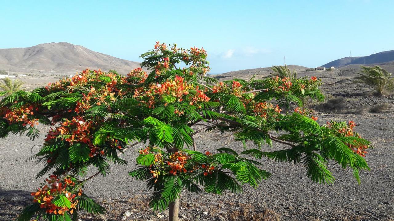 Finca Los Rosales Lajita Exteriör bild